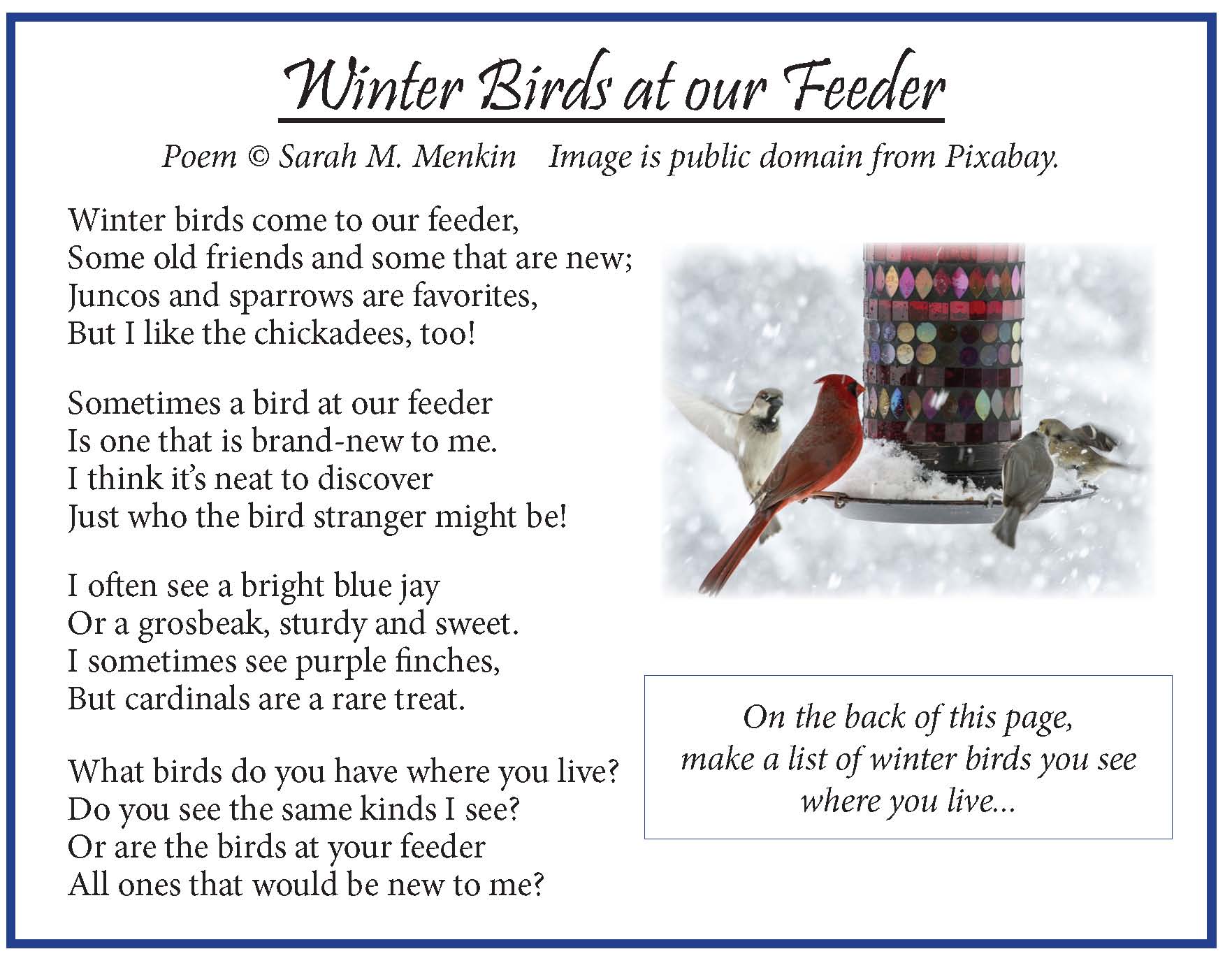 Winter Birds