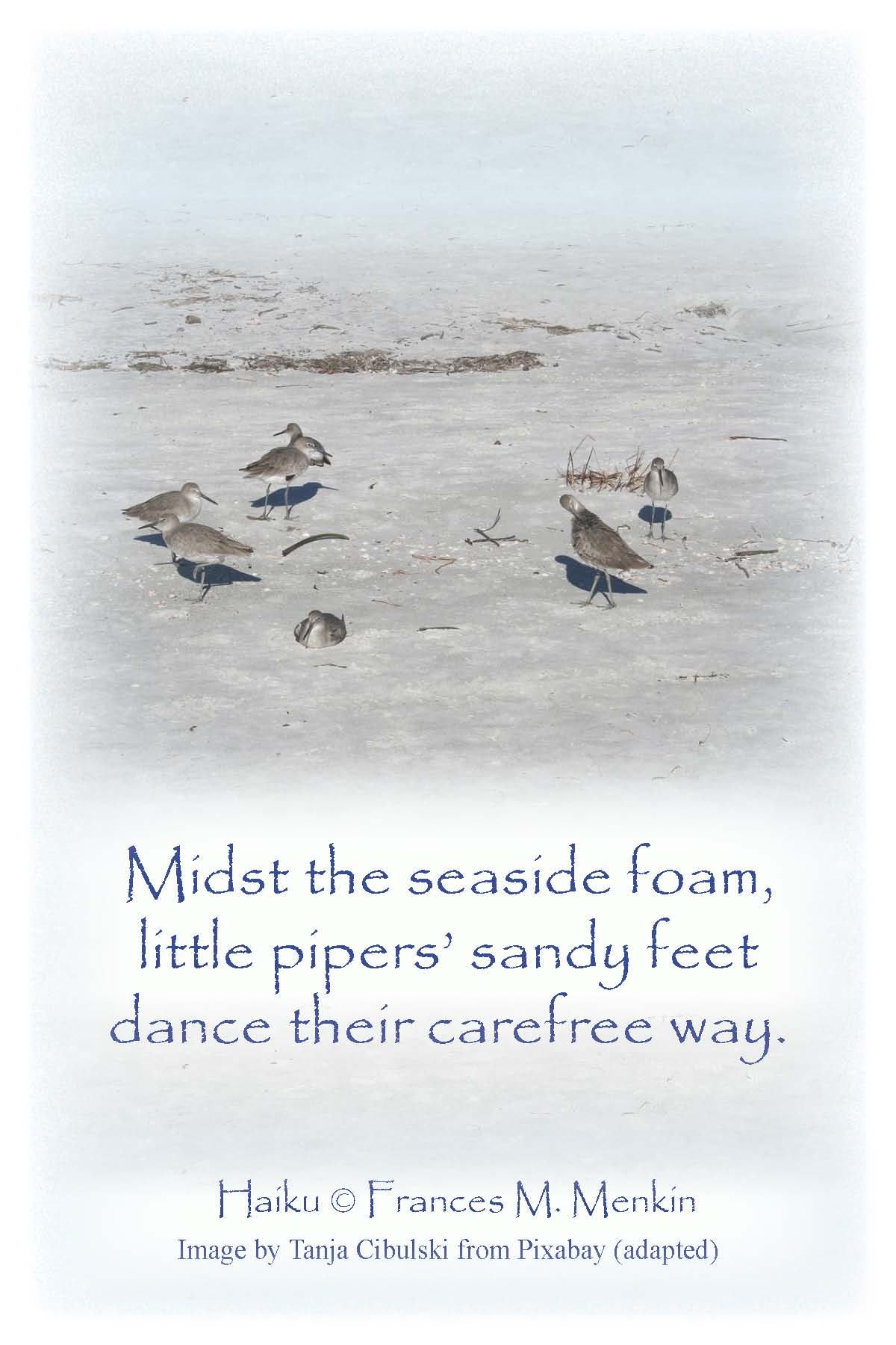 seaside_pipers